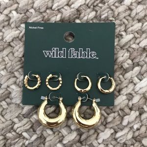 Wild Fable Hoop Earrings